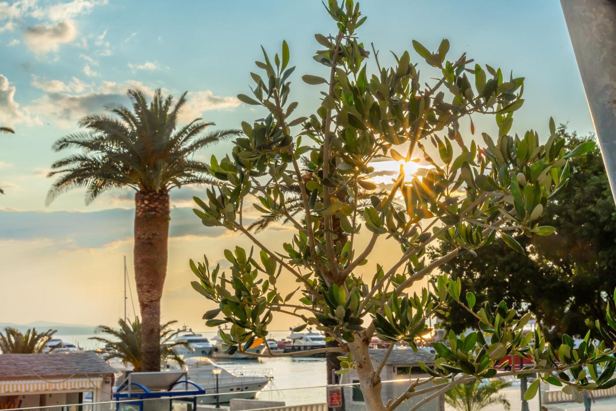 Grand Hotel Slavia - Adults Only Baska Voda Luaran gambar